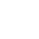 X Machina